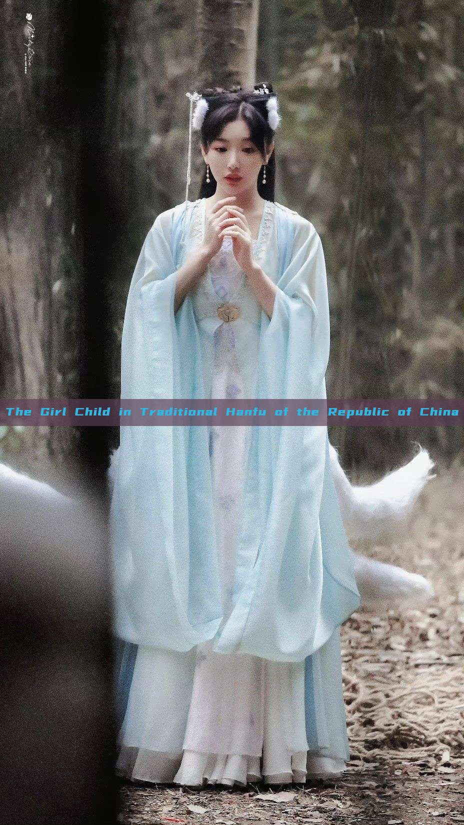 The Girl Child in Traditional Hanfu of the Republic of China The Girl Child in Traditional Hanfu of the Republic of China