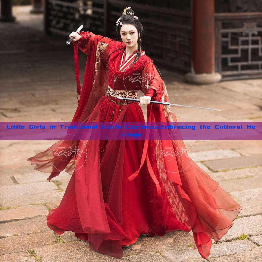 Little Girls in Traditional Hanfu Costumes:Embracing the Cultural Heritage Little Girls in Traditional Hanfu Costumes:Embracing the Cultural Heritage