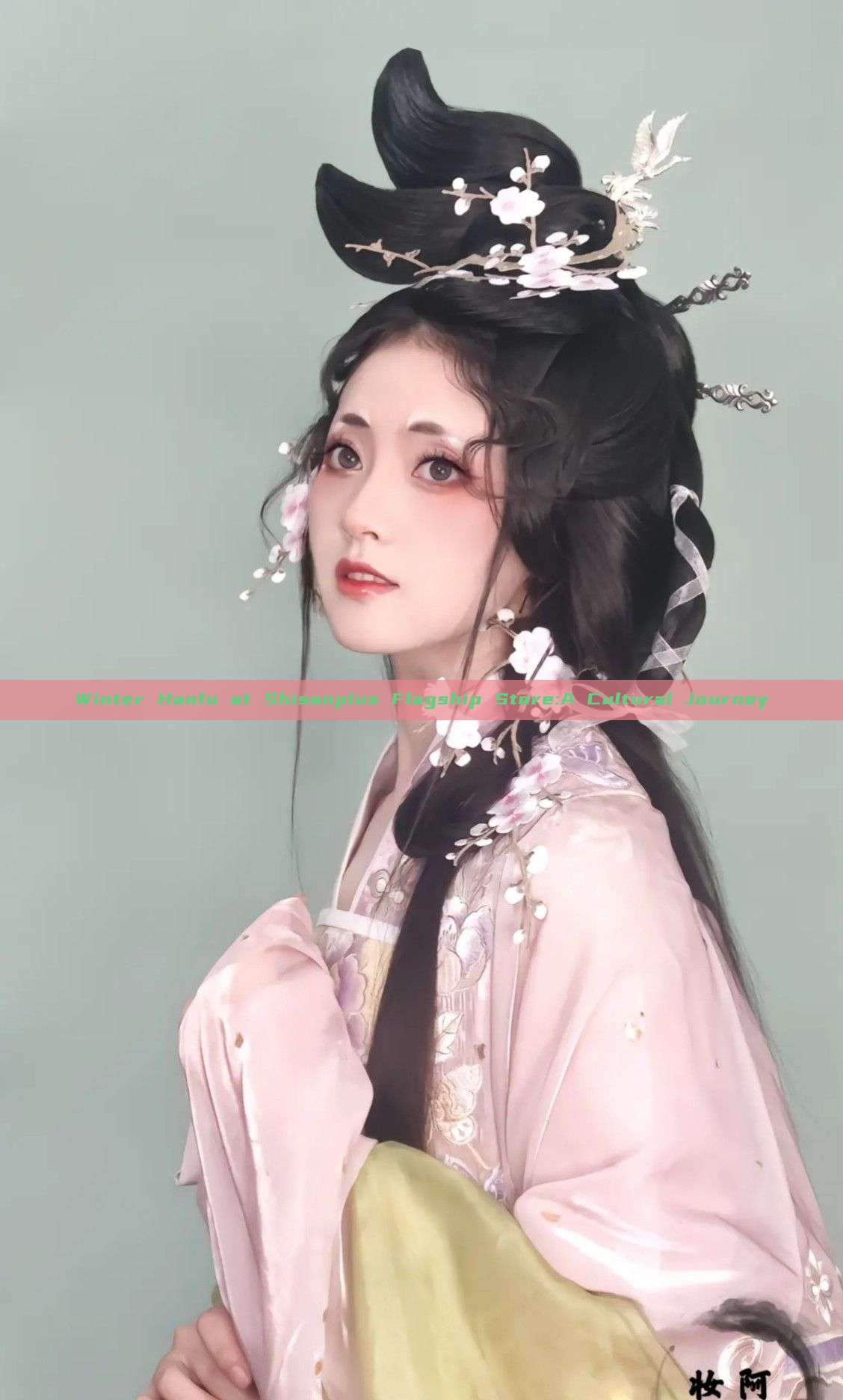 Winter Hanfu at Shisanplus Flagship Store:A Cultural Journey Winter Hanfu at Shisanplus Flagship Store:A Cultural Journey