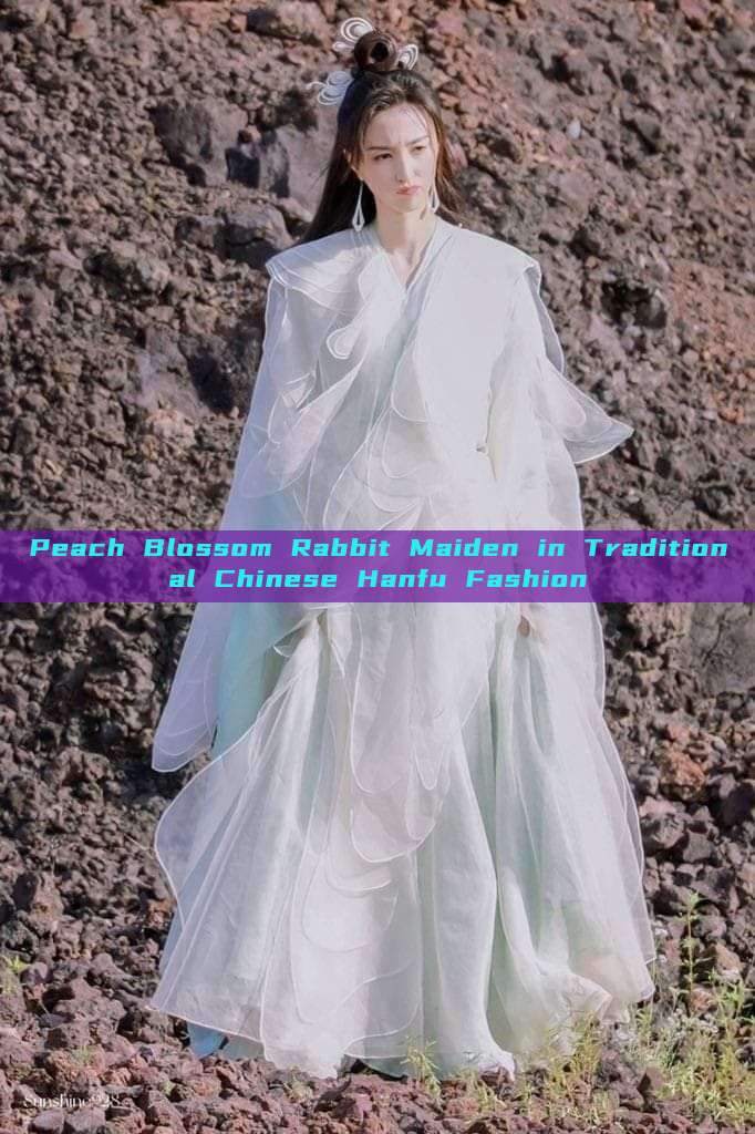 Peach Blossom Rabbit Maiden in Traditional Chinese Hanfu Fashion Peach Blossom Rabbit Maiden in Traditional Chinese Hanfu Fashion