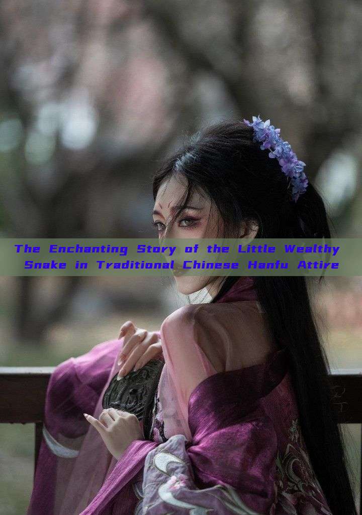 The Enchanting Story of the Little Wealthy Snake in Traditional Chinese Hanfu Attire The Enchanting Story of the Little Wealthy Snake in Traditional Chinese Hanfu Attire