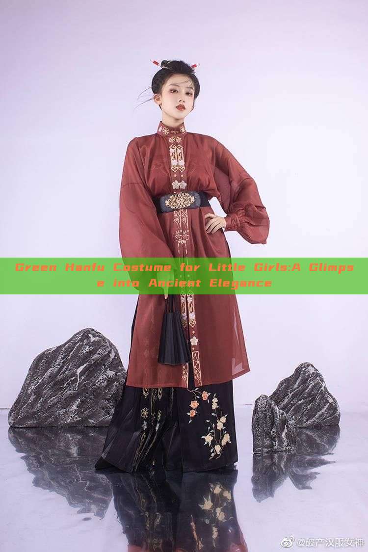 Green Hanfu Costume for Little Girls:A Glimpse into Ancient Elegance Green Hanfu Costume for Little Girls:A Glimpse into Ancient Elegance