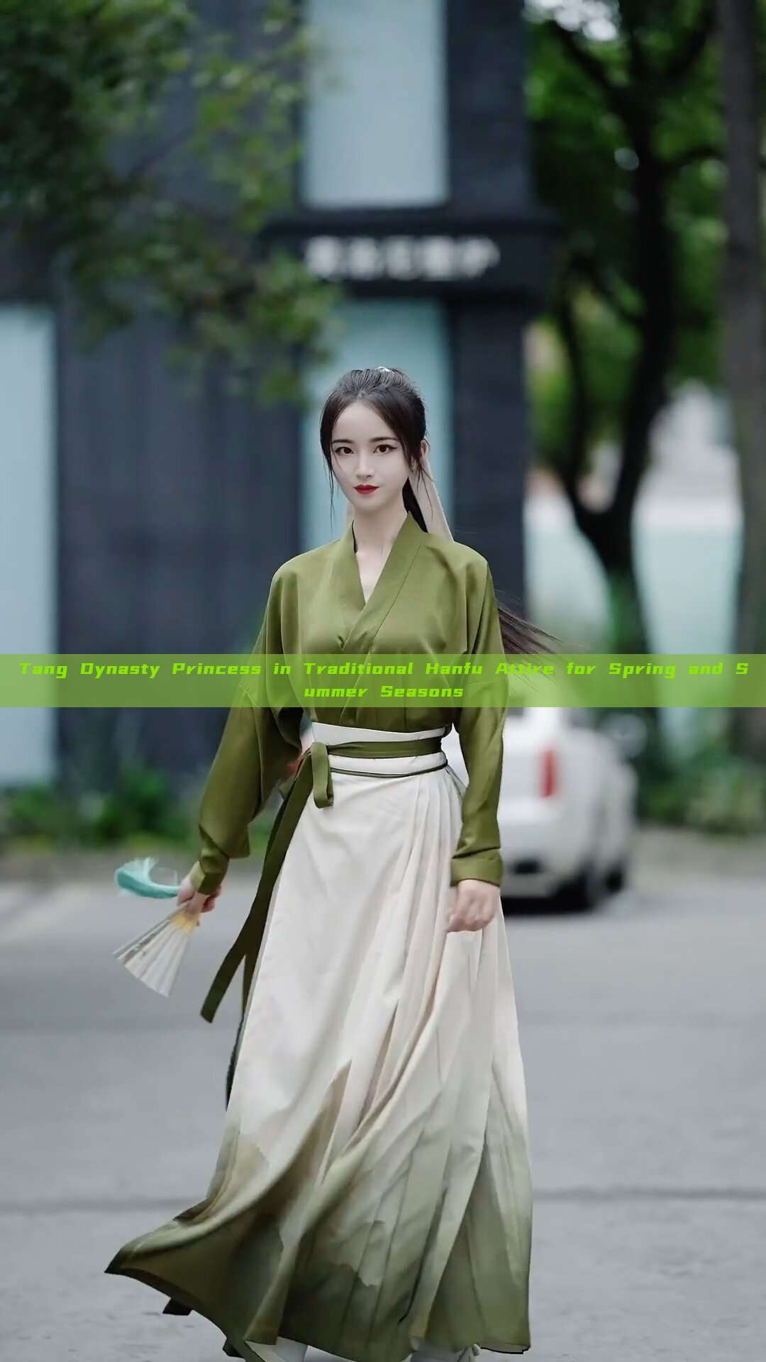 Tang Dynasty Princess in Traditional Hanfu Attire for Spring and Summer Seasons Tang Dynasty Princess in Traditional Hanfu Attire for Spring and Summer Seasons