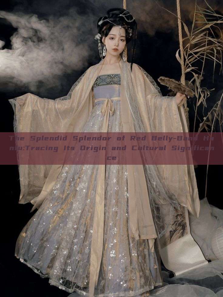 The Splendid Splendor of Red Belly-Band Hanfu:Tracing Its Origin and Cultural Significance The Splendid Splendor of Red Belly-Band Hanfu:Tracing Its Origin and Cultural Significance