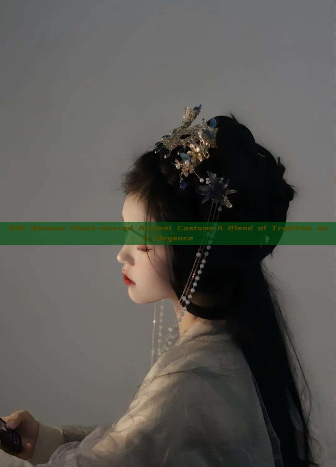 Silk Womens Short-sleeved Ancient Costume:A Blend of Tradition and Elegance Silk Womens Short-sleeved Ancient Costume:A Blend of Tradition and Elegance