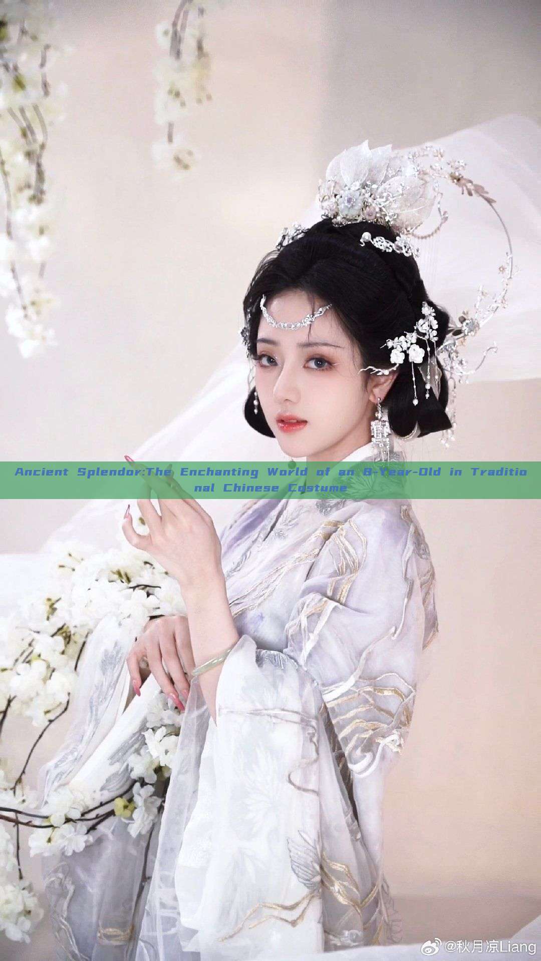 Ancient Splendor:The Enchanting World of an 8-Year-Old in Traditional Chinese Costume Ancient Splendor:The Enchanting World of an 8-Year-Old in Traditional Chinese Costume