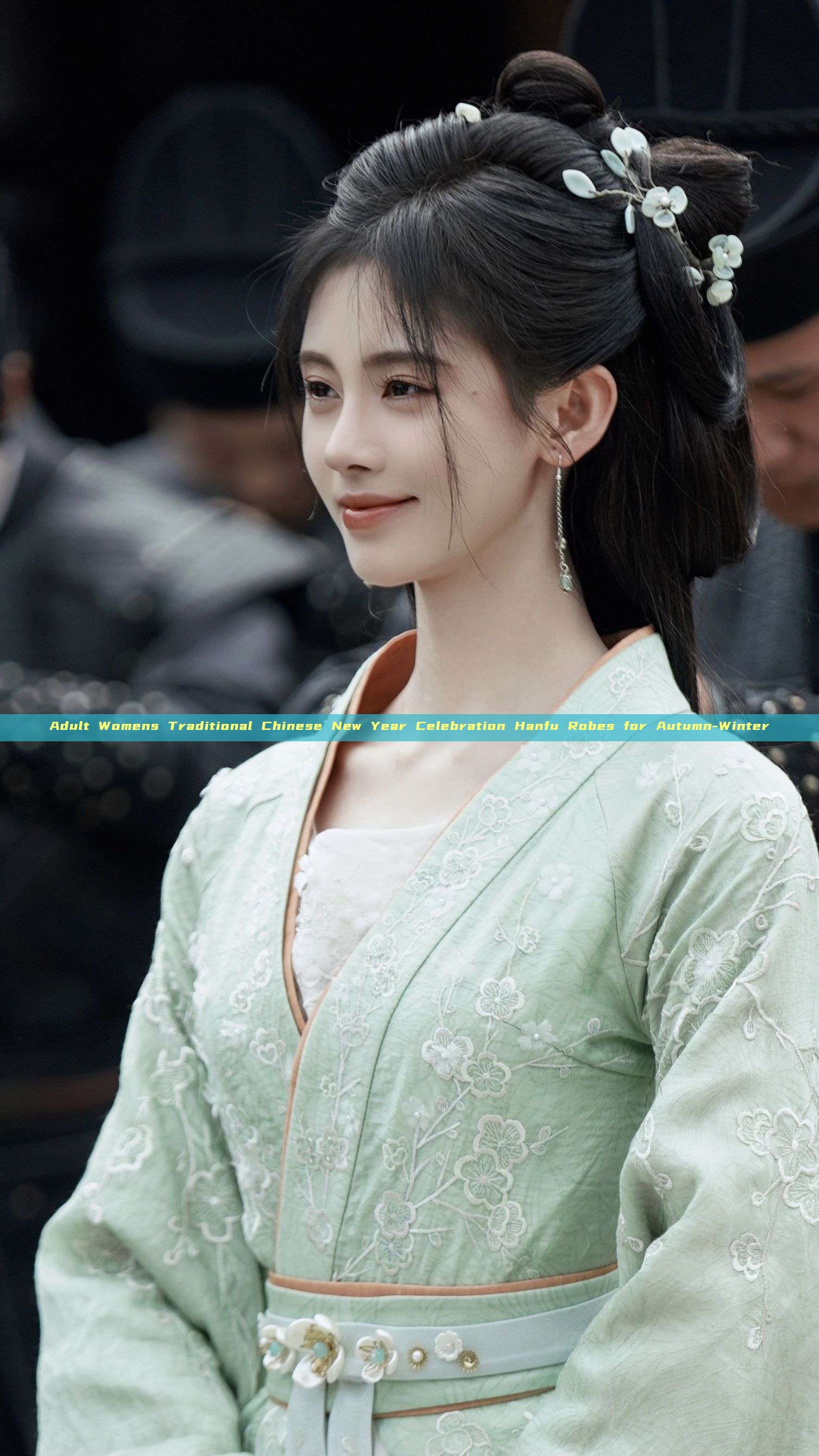 Adult Womens Traditional Chinese New Year Celebration Hanfu Robes for Autumn-Winter Adult Womens Traditional Chinese New Year Celebration Hanfu Robes for Autumn-Winter