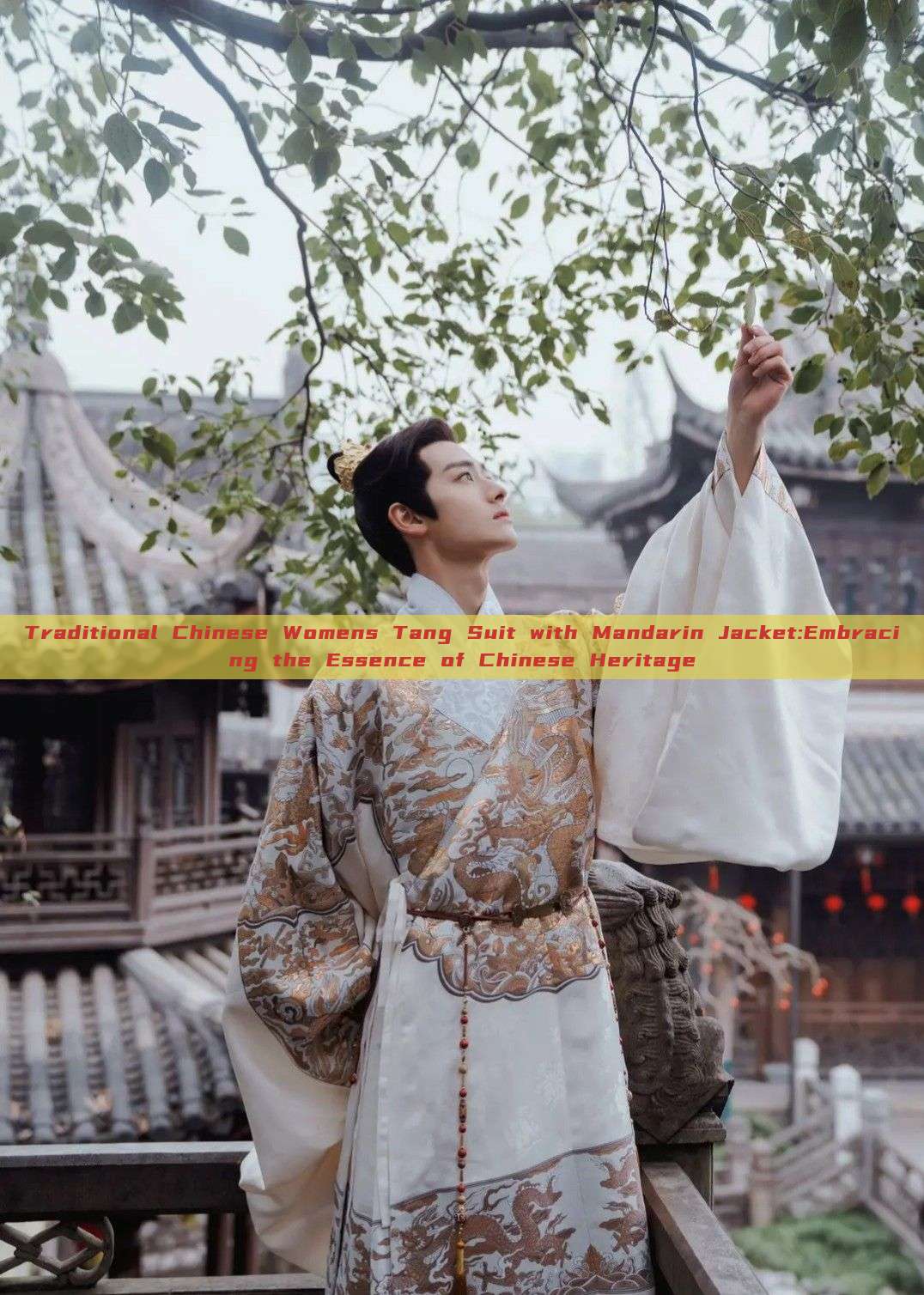 Traditional Chinese Womens Tang Suit with Mandarin Jacket:Embracing the Essence of Chinese Heritage Traditional Chinese Womens Tang Suit with Mandarin Jacket:Embracing the Essence of Chinese Heritage