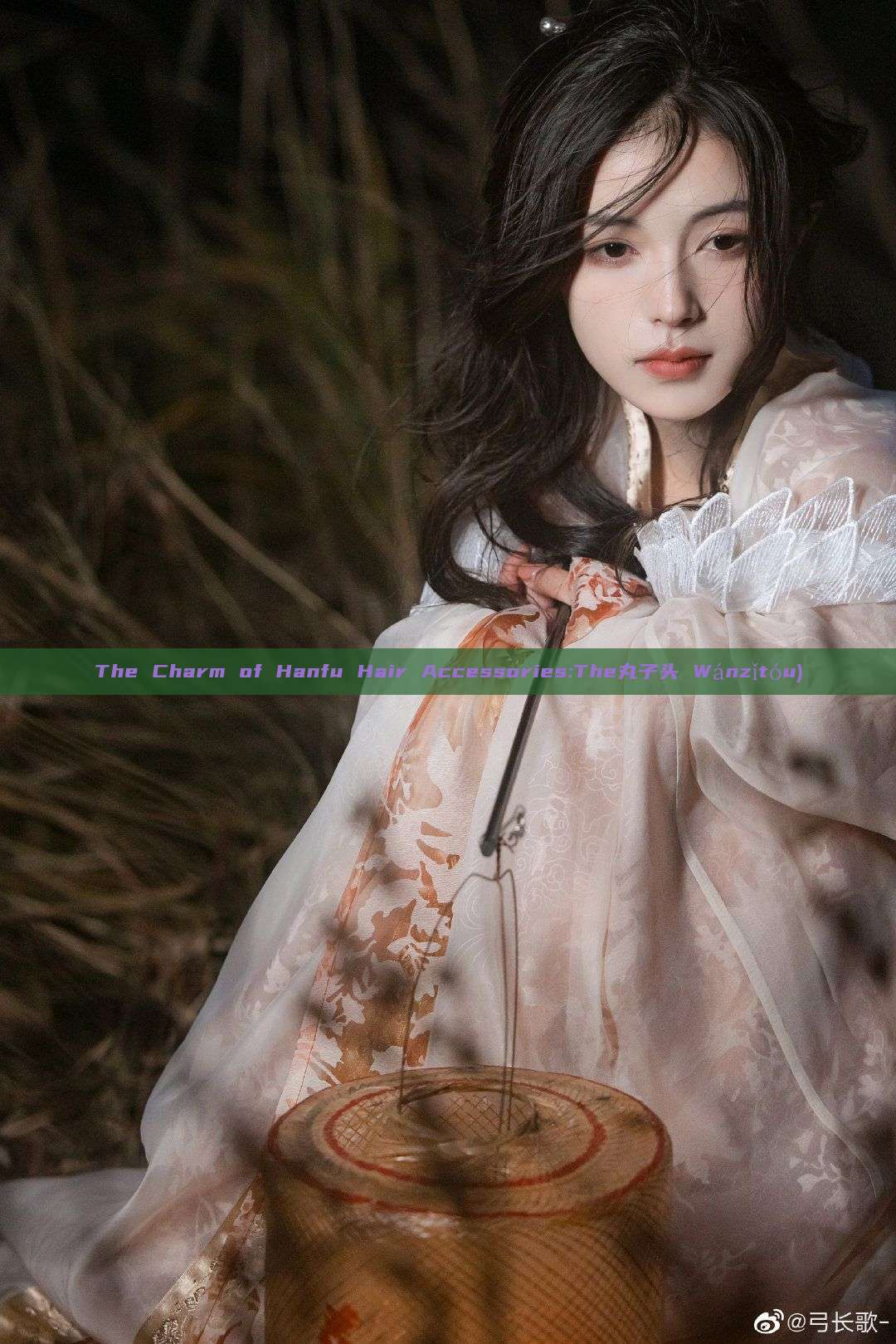 The Charm of Hanfu Hair Accessories:The丸子头 Wánzǐtóu) The Charm of Hanfu Hair Accessories:The丸子头 Wánzǐtóu)