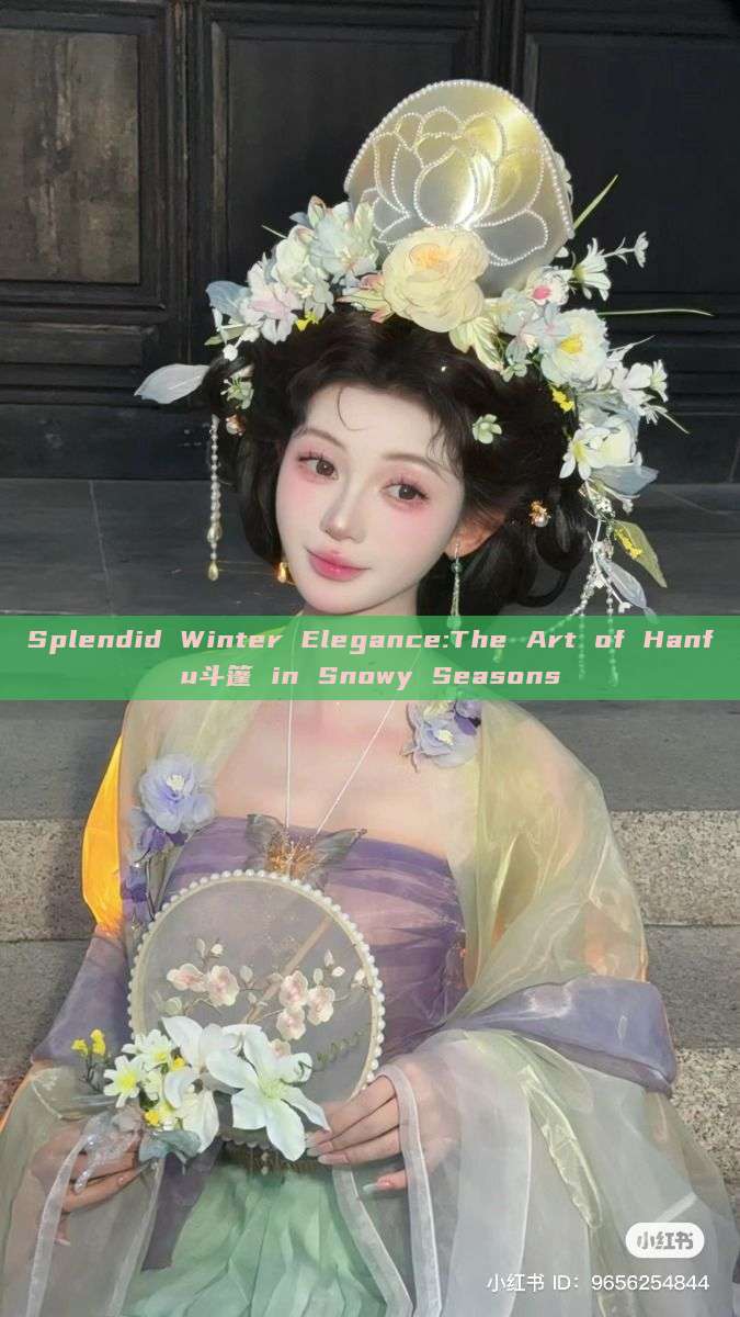 Splendid Winter Elegance:The Art of Hanfu斗篷 in Snowy Seasons