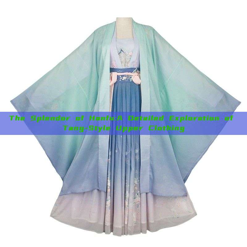 The Splendor of Hanfu:A Detailed Exploration of Tang-Style Upper Clothing The Splendor of Hanfu:A Detailed Exploration of Tang-Style Upper Clothing