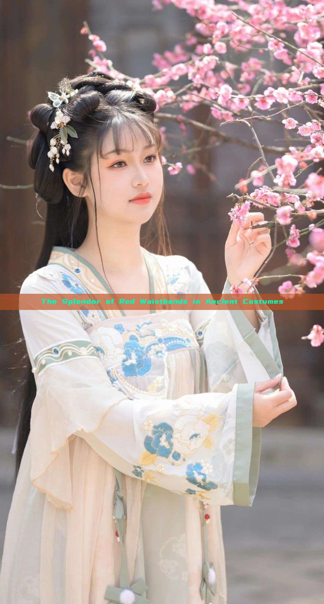 The Splendor of Red Waistbands in Ancient Costumes The Splendor of Red Waistbands in Ancient Costumes