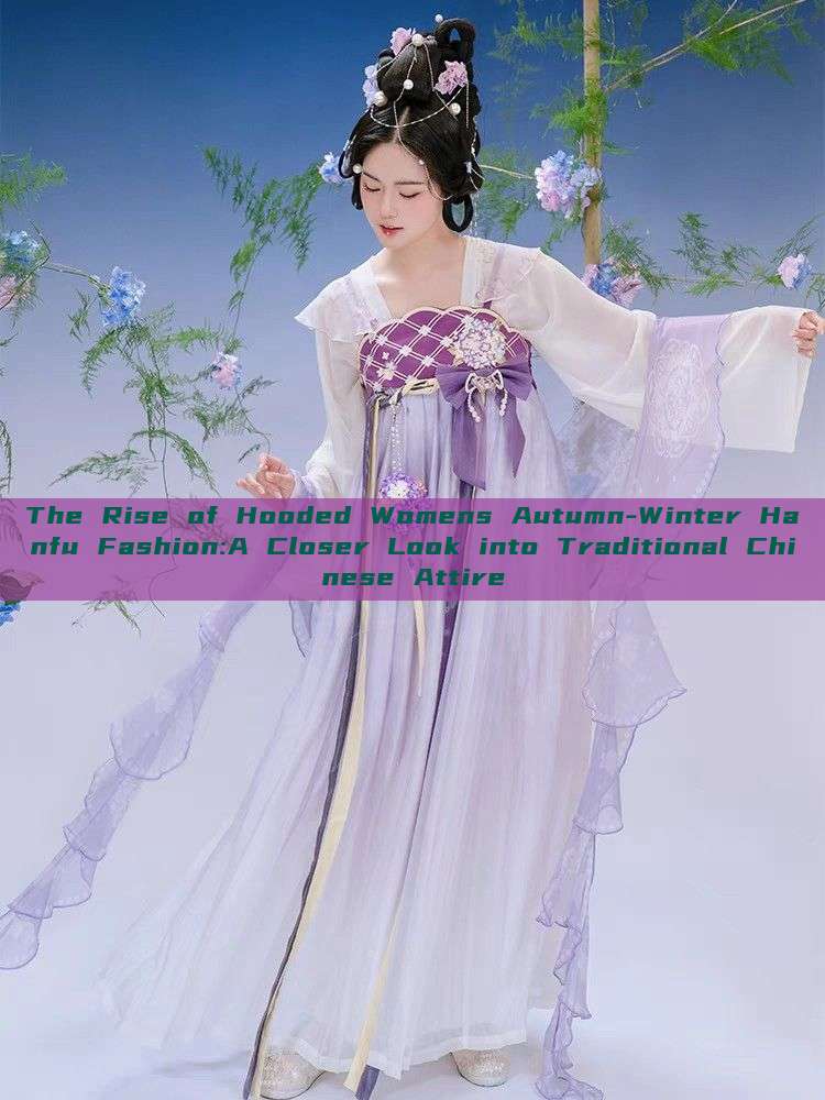 The Rise of Hooded Womens Autumn-Winter Hanfu Fashion:A Closer Look into Traditional Chinese Attire