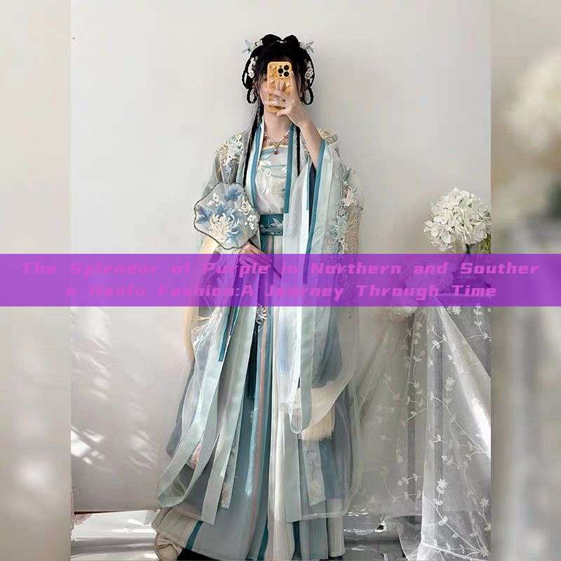 The Splendor of Purple in Northern and Southern Hanfu Fashion:A Journey Through Time The Splendor of Purple in Northern and Southern Hanfu Fashion:A Journey Through Time