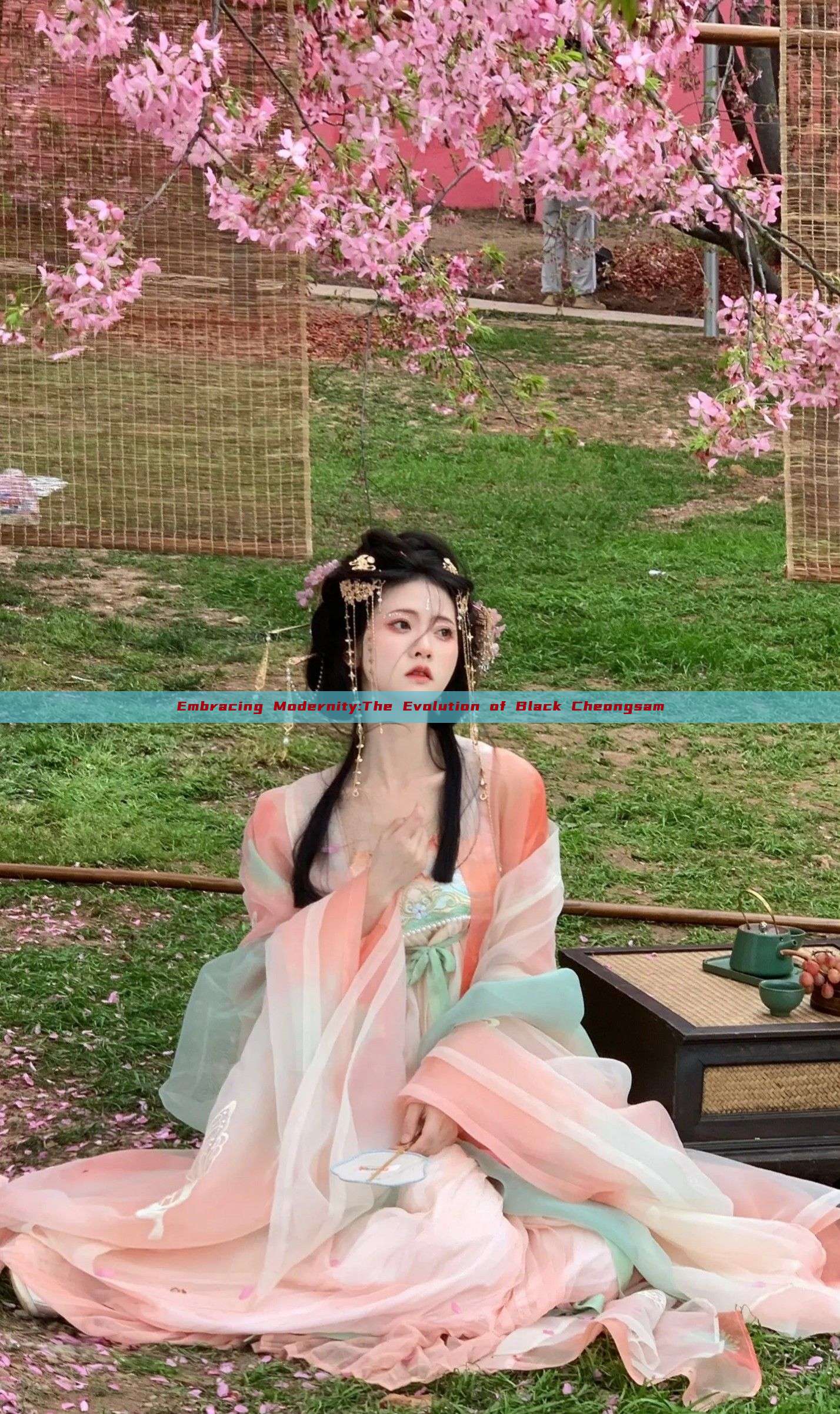 Embracing Modernity:The Evolution of Black Cheongsam Embracing Modernity:The Evolution of Black Cheongsam