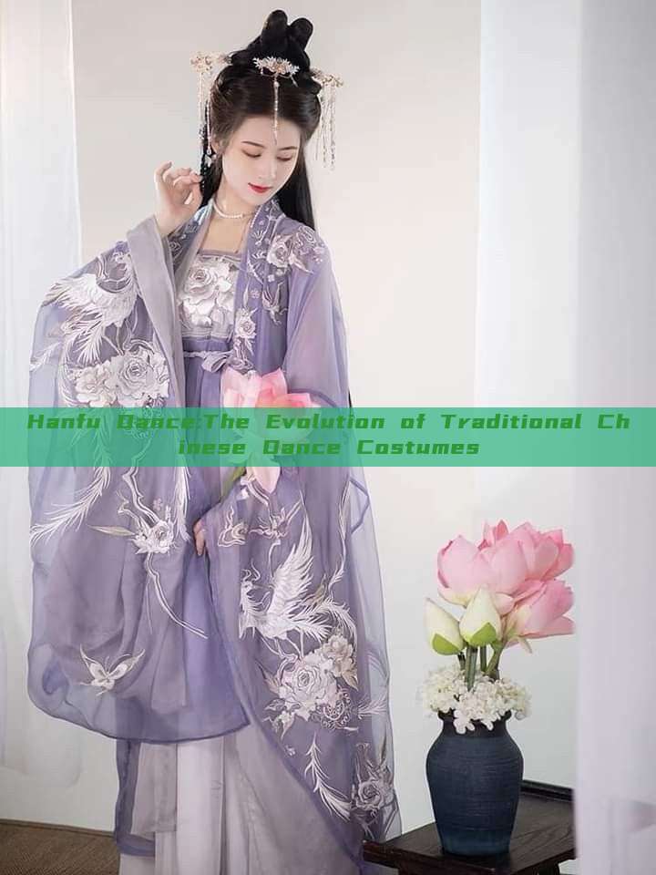 Hanfu Dance:The Evolution of Traditional Chinese Dance Costumes Hanfu Dance:The Evolution of Traditional Chinese Dance Costumes