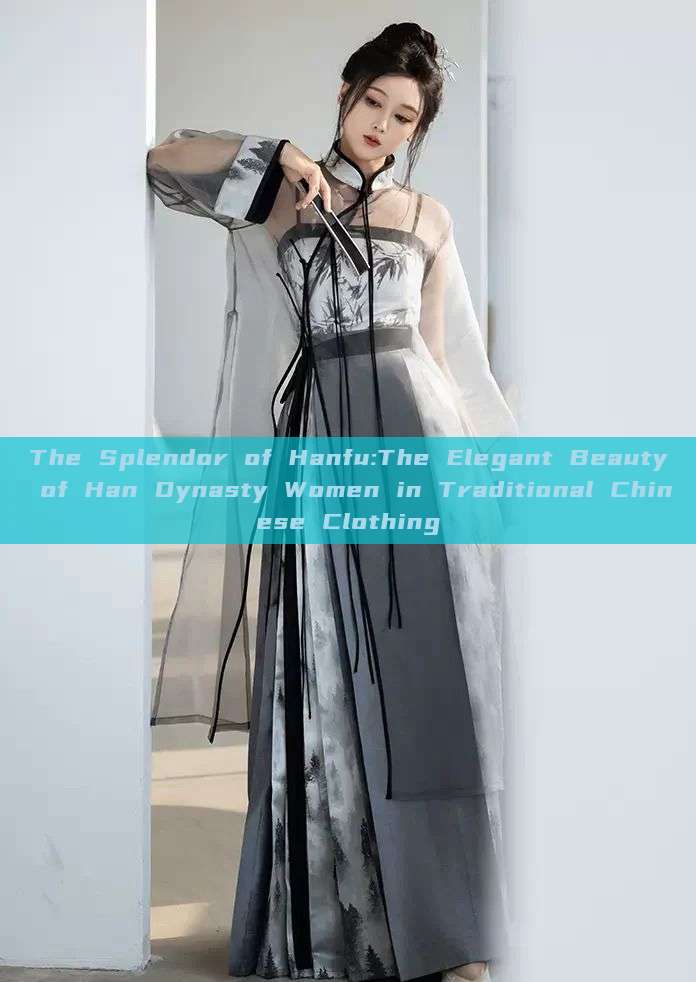 The Splendor of Hanfu:The Elegant Beauty of Han Dynasty Women in Traditional Chinese Clothing The Splendor of Hanfu:The Elegant Beauty of Han Dynasty Women in Traditional Chinese Clothing