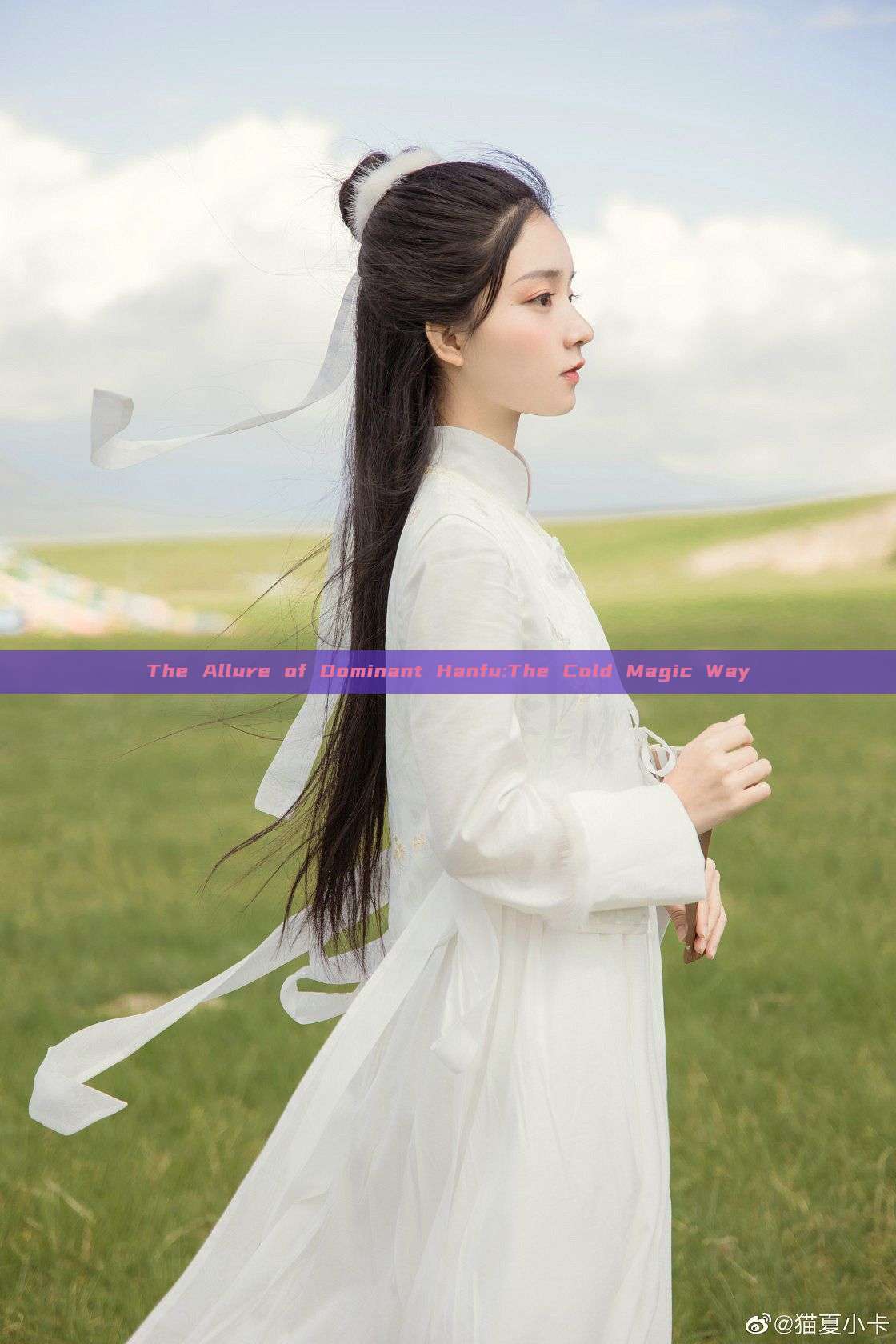 The Allure of Dominant Hanfu:The Cold Magic Way