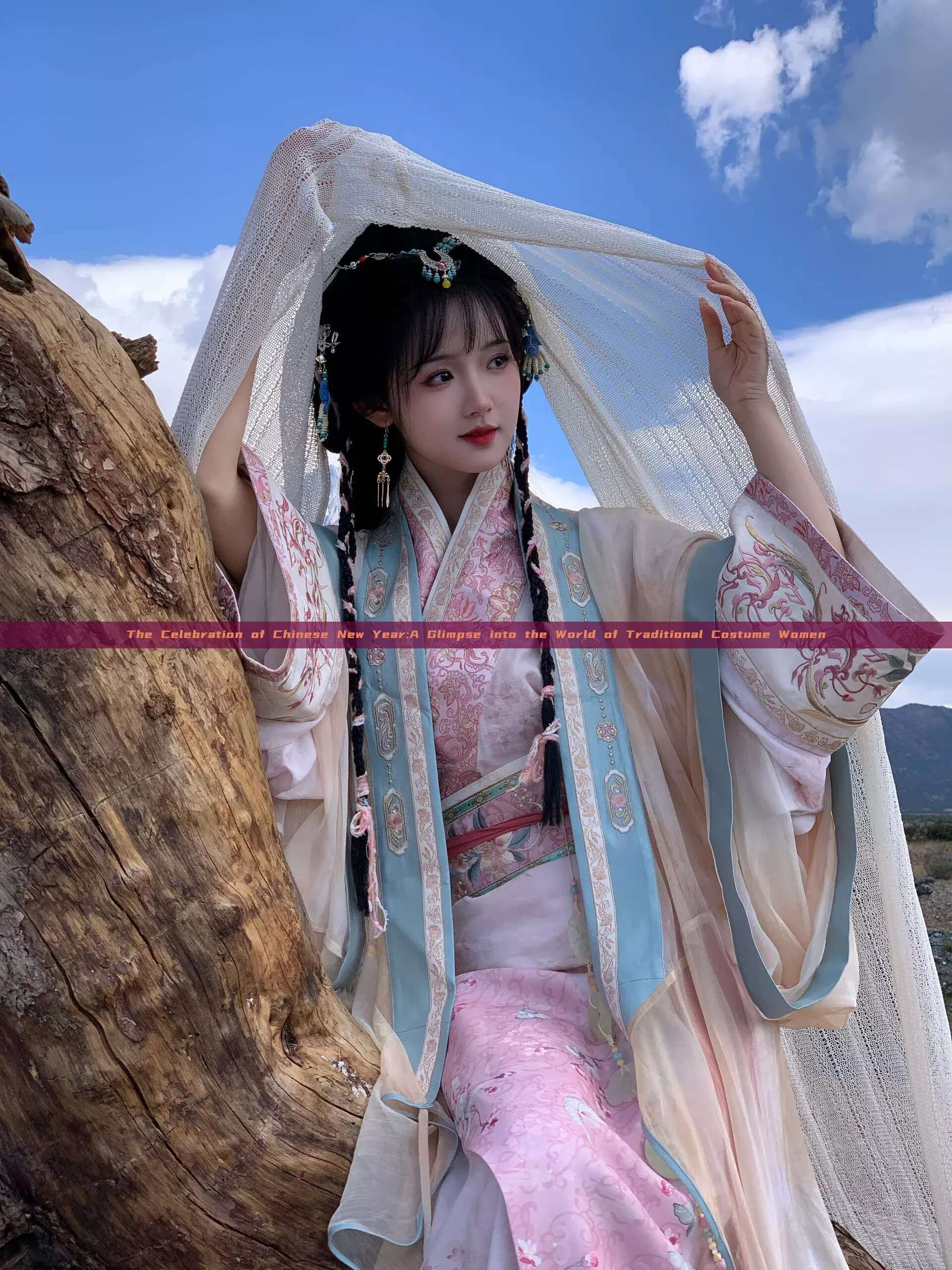 The Celebration of Chinese New Year:A Glimpse into the World of Traditional Costume Women