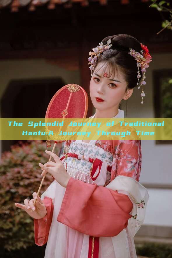 The Splendid Journey of Traditional Hanfu:A Journey Through Time The Splendid Journey of Traditional Hanfu:A Journey Through Time