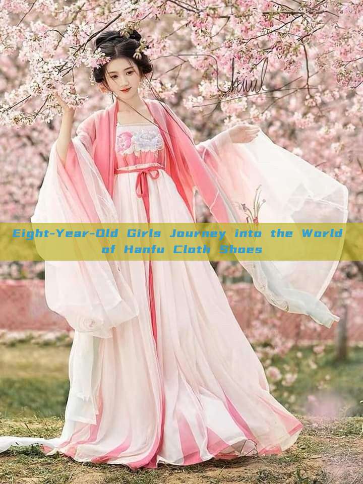 Eight-Year-Old Girls Journey into the World of Hanfu Cloth Shoes Eight-Year-Old Girls Journey into the World of Hanfu Cloth Shoes