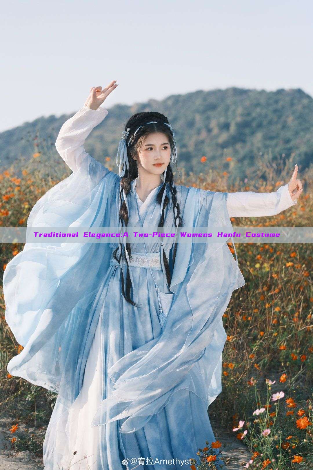 Traditional Elegance:A Two-Piece Womens Hanfu Costume