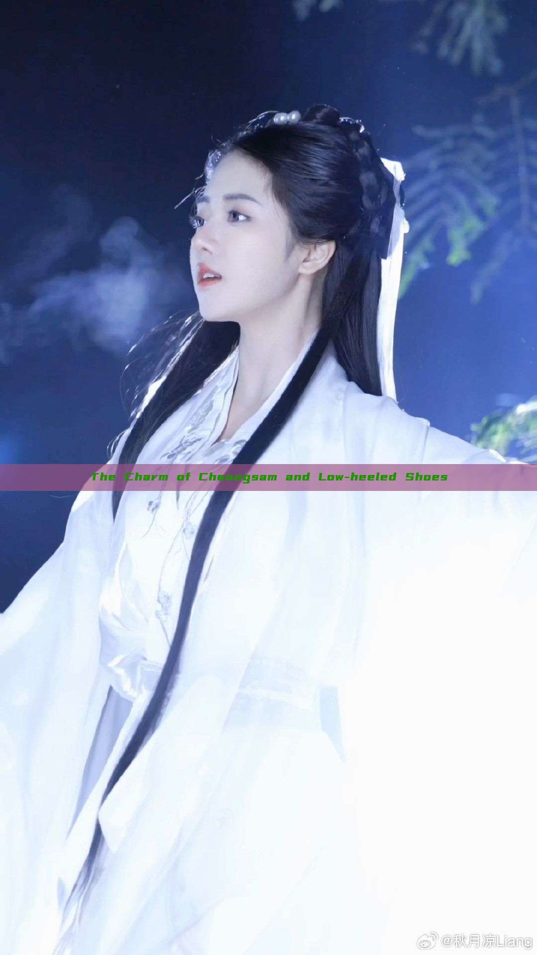 The Charm of Cheongsam and Low-heeled Shoes The Charm of Cheongsam and Low-heeled Shoes