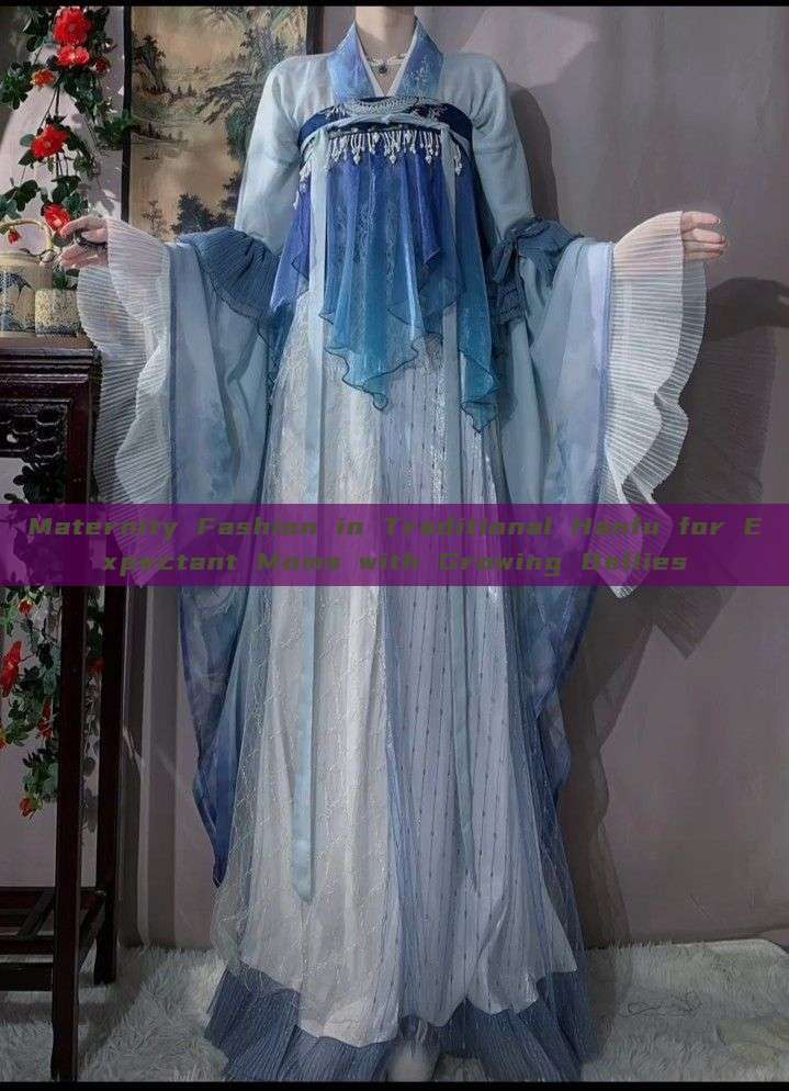 Maternity Fashion in Traditional Hanfu for Expectant Moms with Growing Bellies Maternity Fashion in Traditional Hanfu for Expectant Moms with Growing Bellies