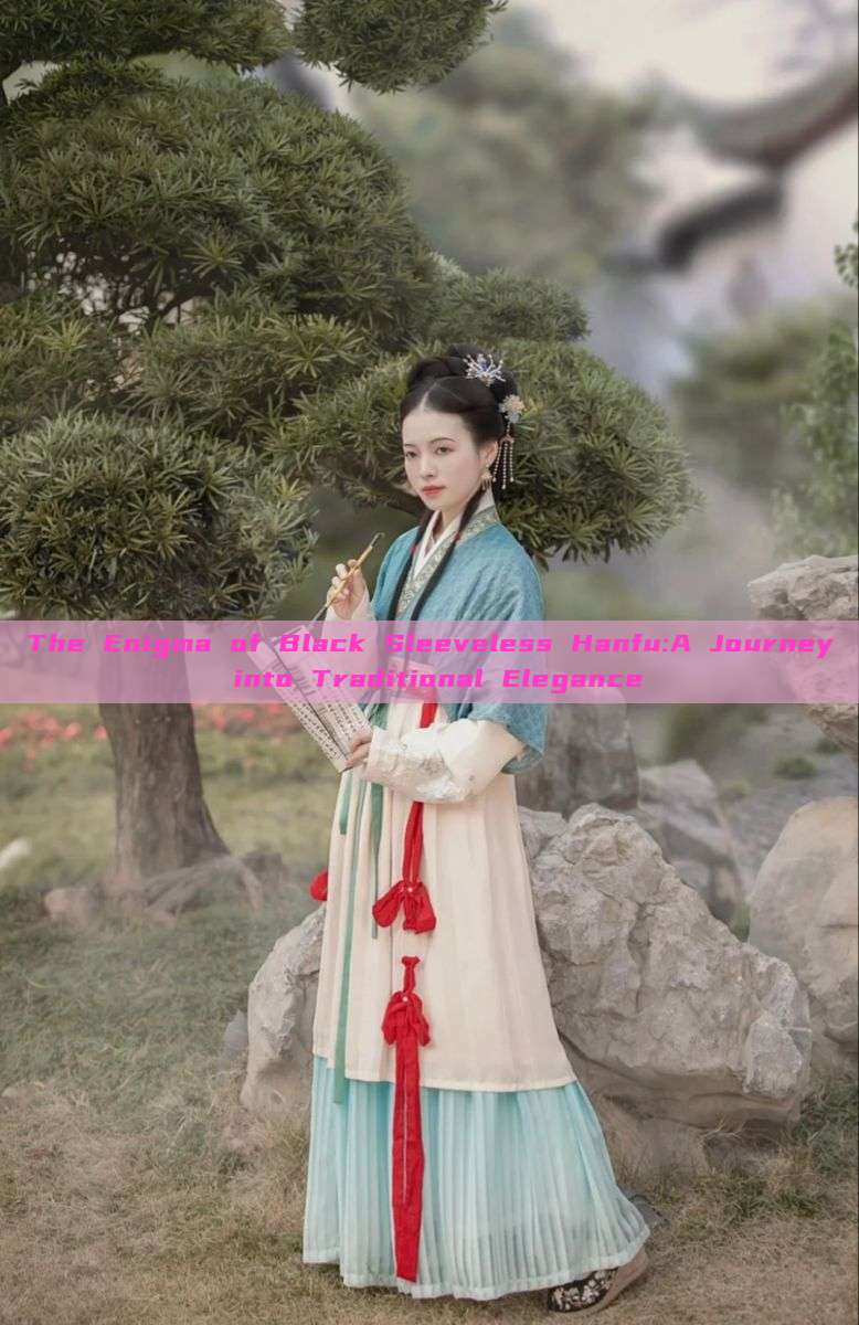 The Enigma of Black Sleeveless Hanfu:A Journey into Traditional Elegance The Enigma of Black Sleeveless Hanfu:A Journey into Traditional Elegance