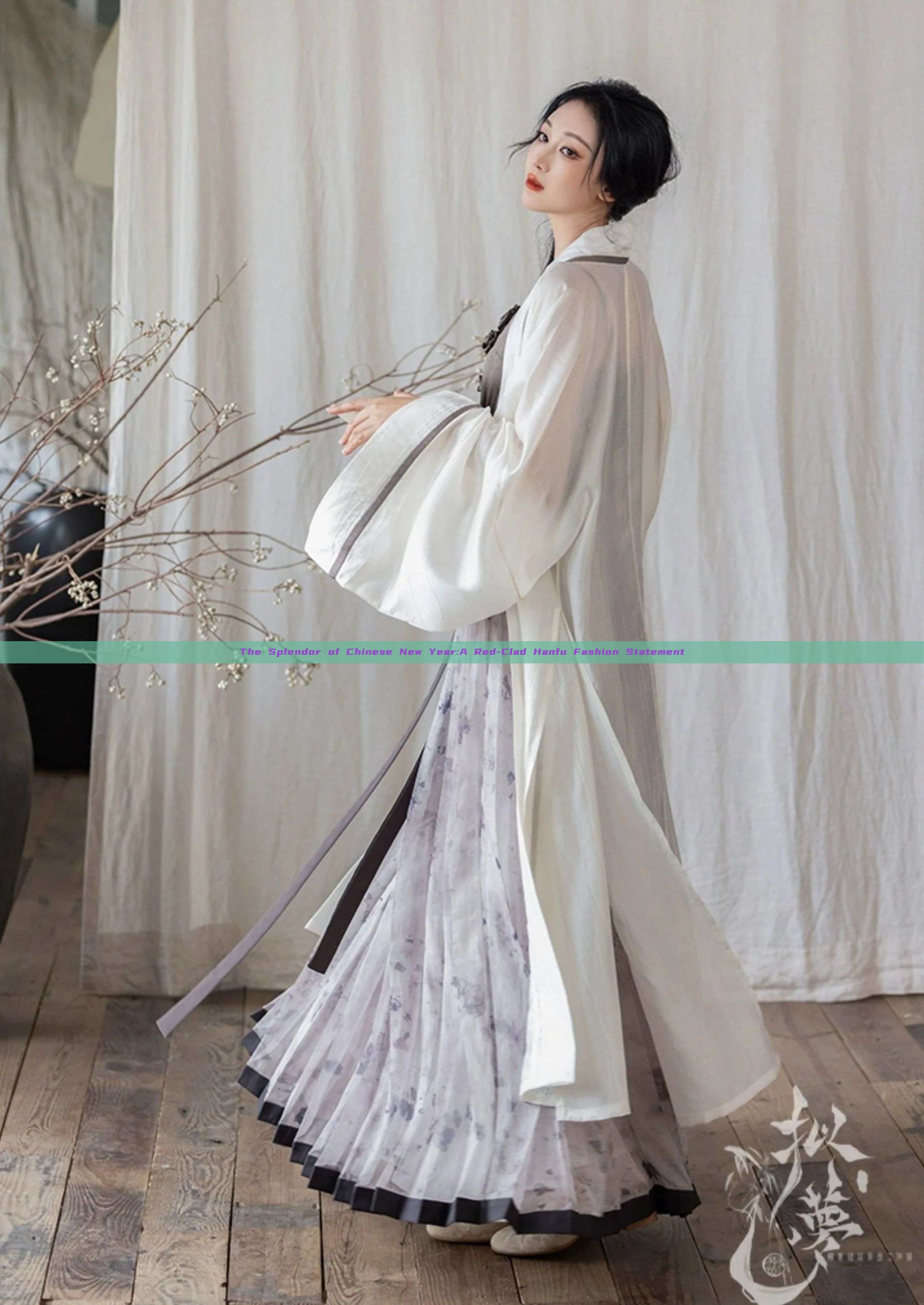 The Splendor of Chinese New Year:A Red-Clad Hanfu Fashion Statement The Splendor of Chinese New Year:A Red-Clad Hanfu Fashion Statement