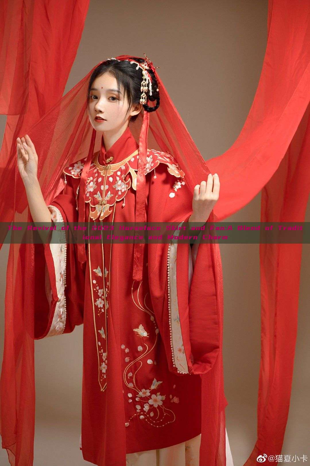 The Revival of the 2023 Horseface Skirt and Fan:A Blend of Traditional Elegance and Modern Charm The Revival of the 2023 Horseface Skirt and Fan:A Blend of Traditional Elegance and Modern Charm