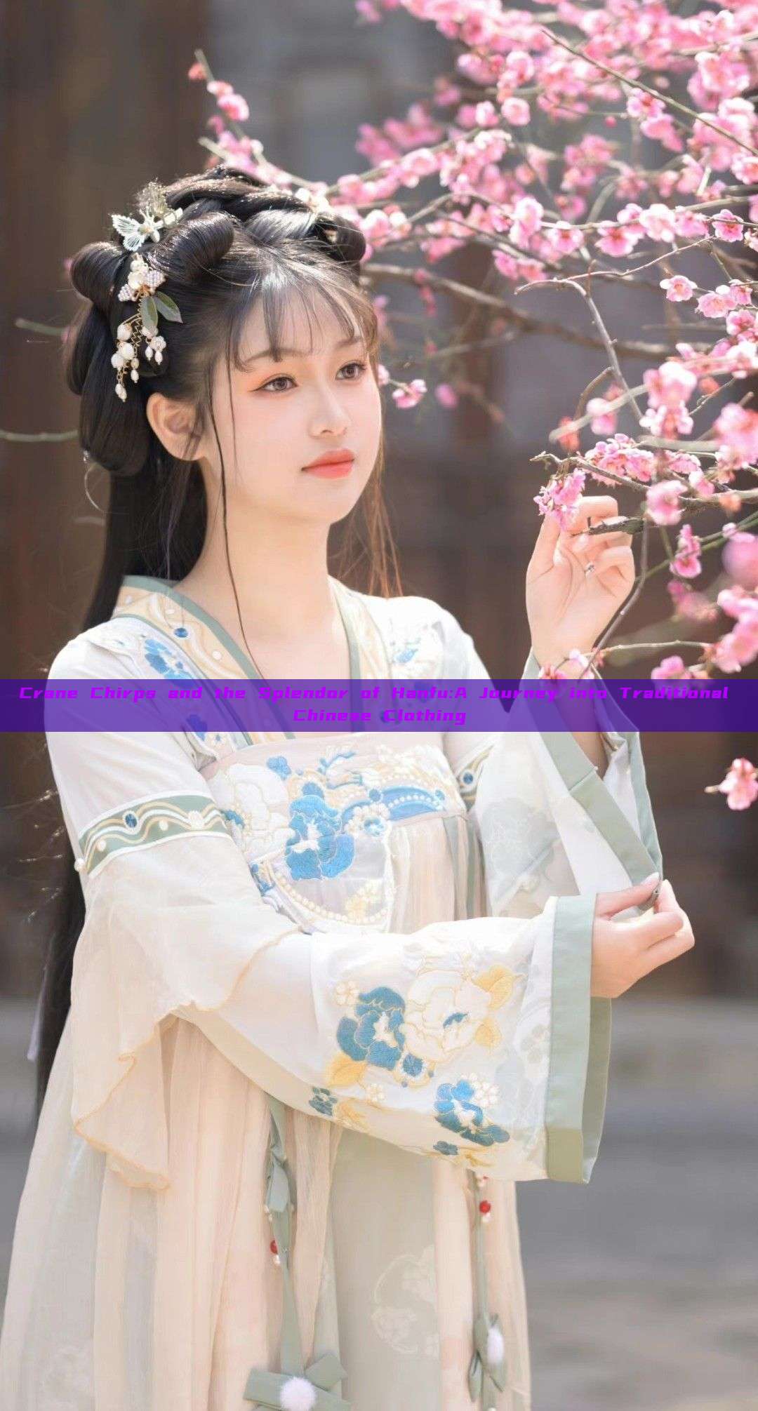 Crane Chirps and the Splendor of Hanfu:A Journey into Traditional Chinese Clothing Crane Chirps and the Splendor of Hanfu:A Journey into Traditional Chinese Clothing