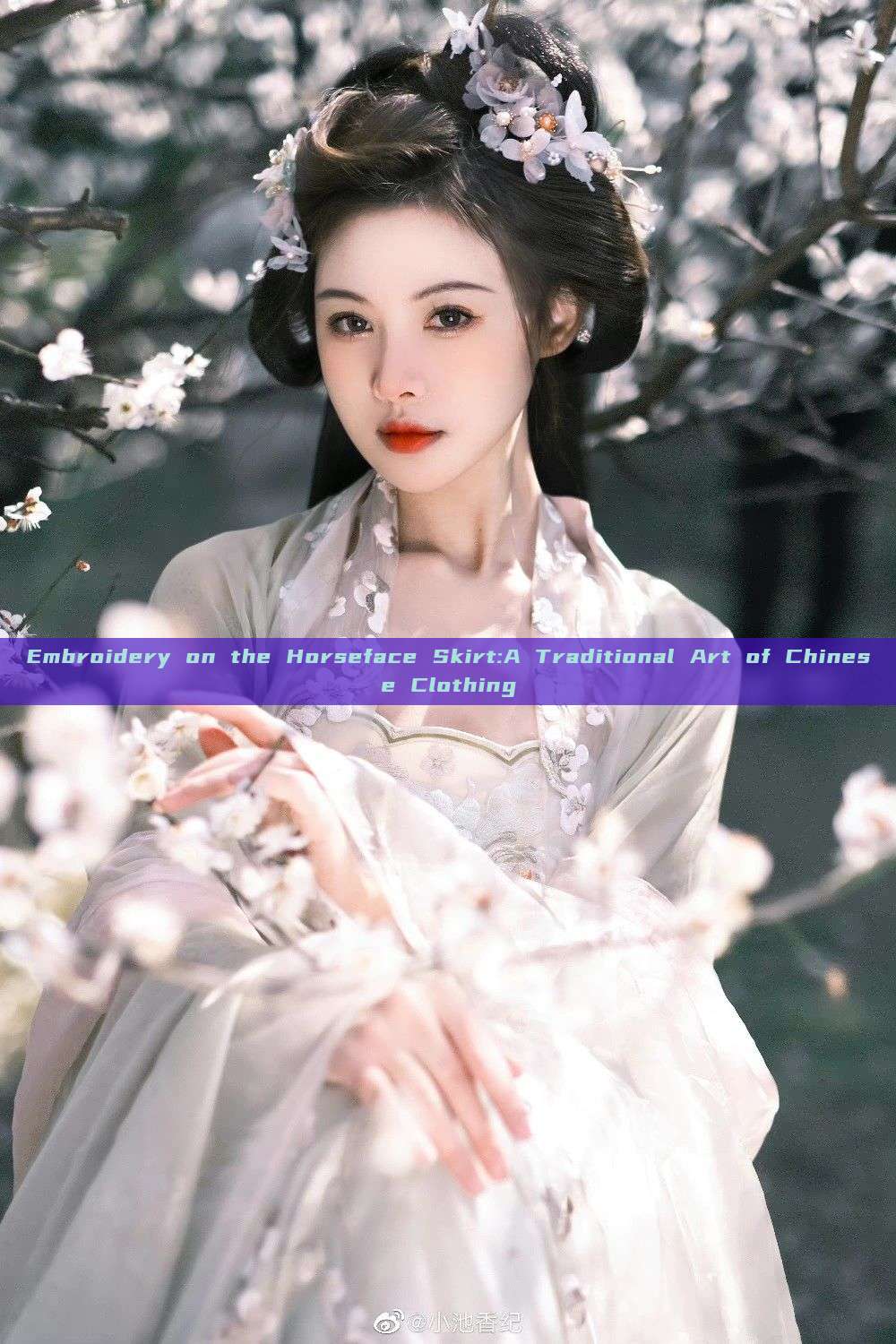 Embroidery on the Horseface Skirt:A Traditional Art of Chinese Clothing Embroidery on the Horseface Skirt:A Traditional Art of Chinese Clothing