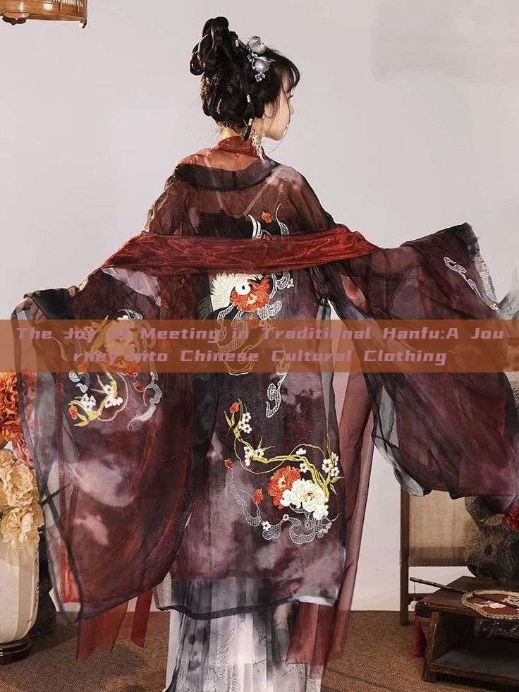The Joy of Meeting in Traditional Hanfu:A Journey into Chinese Cultural Clothing The Joy of Meeting in Traditional Hanfu:A Journey into Chinese Cultural Clothing