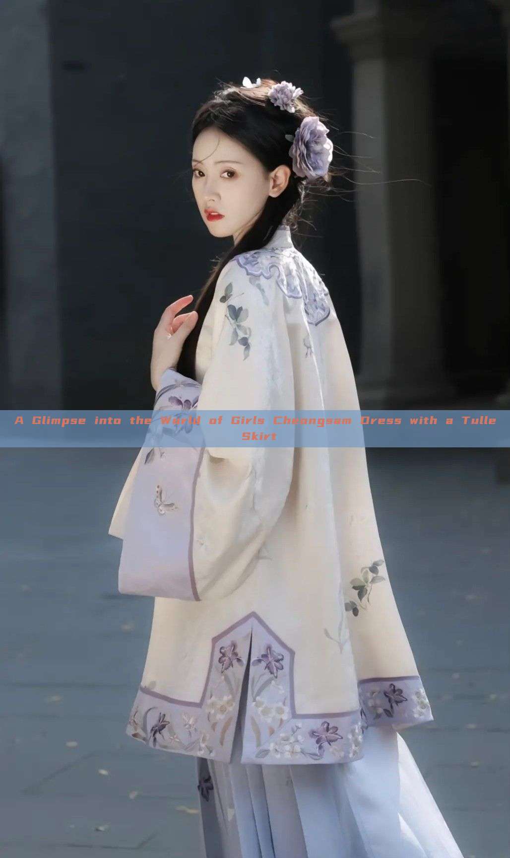 A Glimpse into the World of Girls Cheongsam Dress with a Tulle Skirt A Glimpse into the World of Girls Cheongsam Dress with a Tulle Skirt