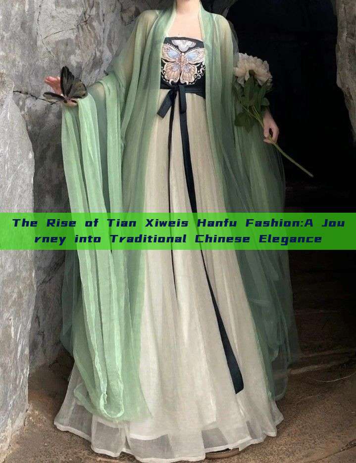 The Rise of Tian Xiweis Hanfu Fashion:A Journey into Traditional Chinese Elegance The Rise of Tian Xiweis Hanfu Fashion:A Journey into Traditional Chinese Elegance