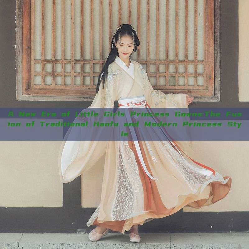 A New Era of Little Girls Princess Gowns:The Fusion of Traditional Hanfu and Modern Princess Style A New Era of Little Girls Princess Gowns:The Fusion of Traditional Hanfu and Modern Princess Style