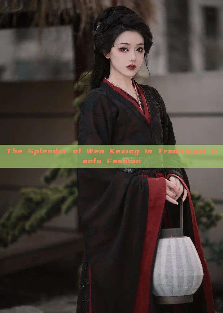 The Splendor of Wen Kexing in Traditional Hanfu Fashion The Splendor of Wen Kexing in Traditional Hanfu Fashion