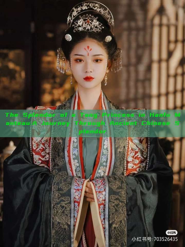 The Splendor of a Tang Princess in Hanfu Manteau:A Journey Through Ancient Chinese Splendor