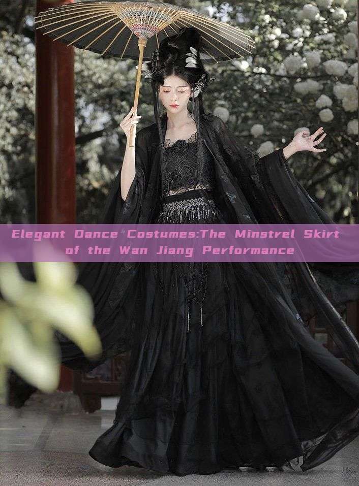 Elegant Dance Costumes:The Minstrel Skirt of the Wan Jiang Performance Elegant Dance Costumes:The Minstrel Skirt of the Wan Jiang Performance