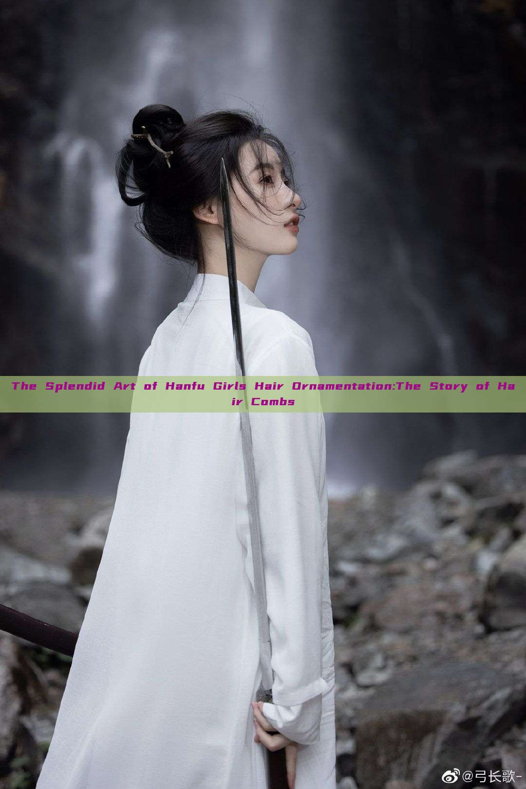 The Splendid Art of Hanfu Girls Hair Ornamentation:The Story of Hair Combs