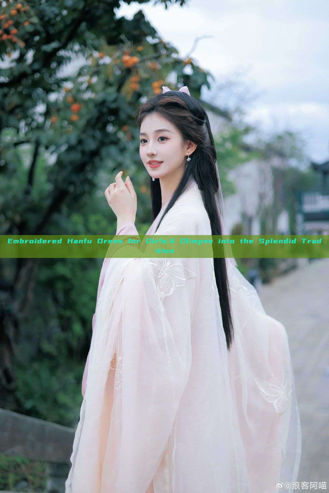 Embroidered Hanfu Dress for Girls:A Glimpse into the Splendid Tradition Embroidered Hanfu Dress for Girls:A Glimpse into the Splendid Tradition