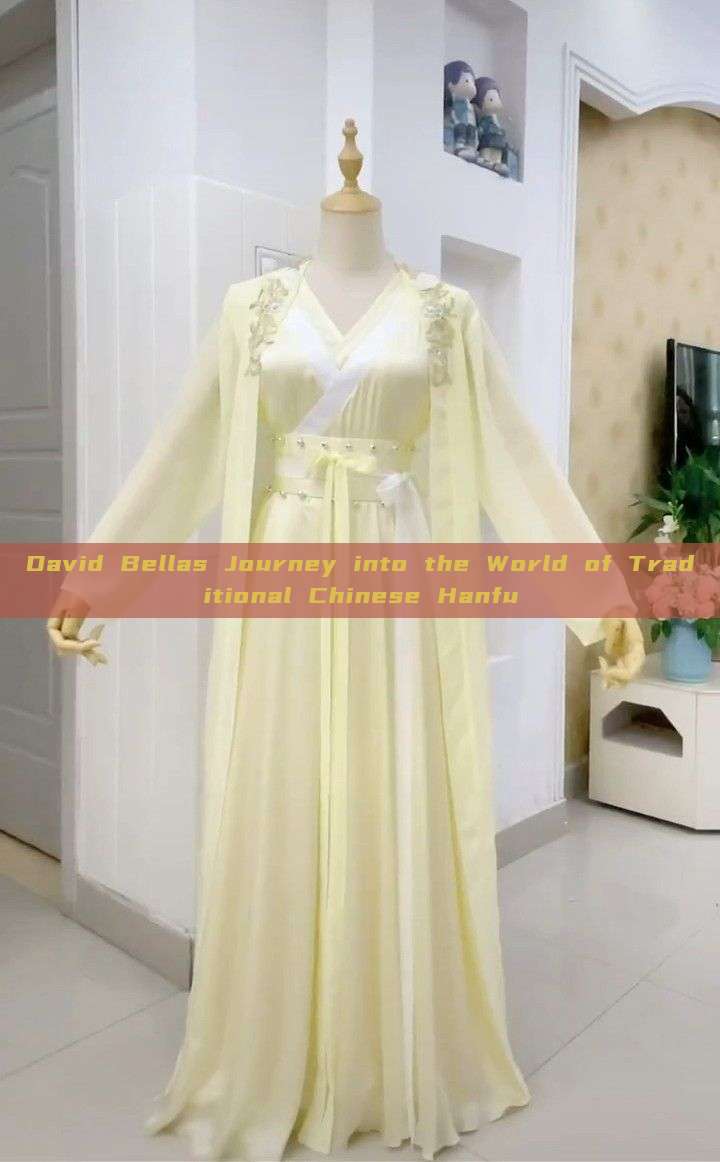 David Bellas Journey into the World of Traditional Chinese Hanfu David Bellas Journey into the World of Traditional Chinese Hanfu