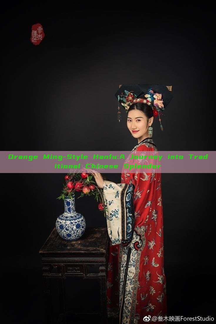 Orange Ming-Style Hanfu:A Journey into Traditional Chinese Splendor Orange Ming-Style Hanfu:A Journey into Traditional Chinese Splendor
