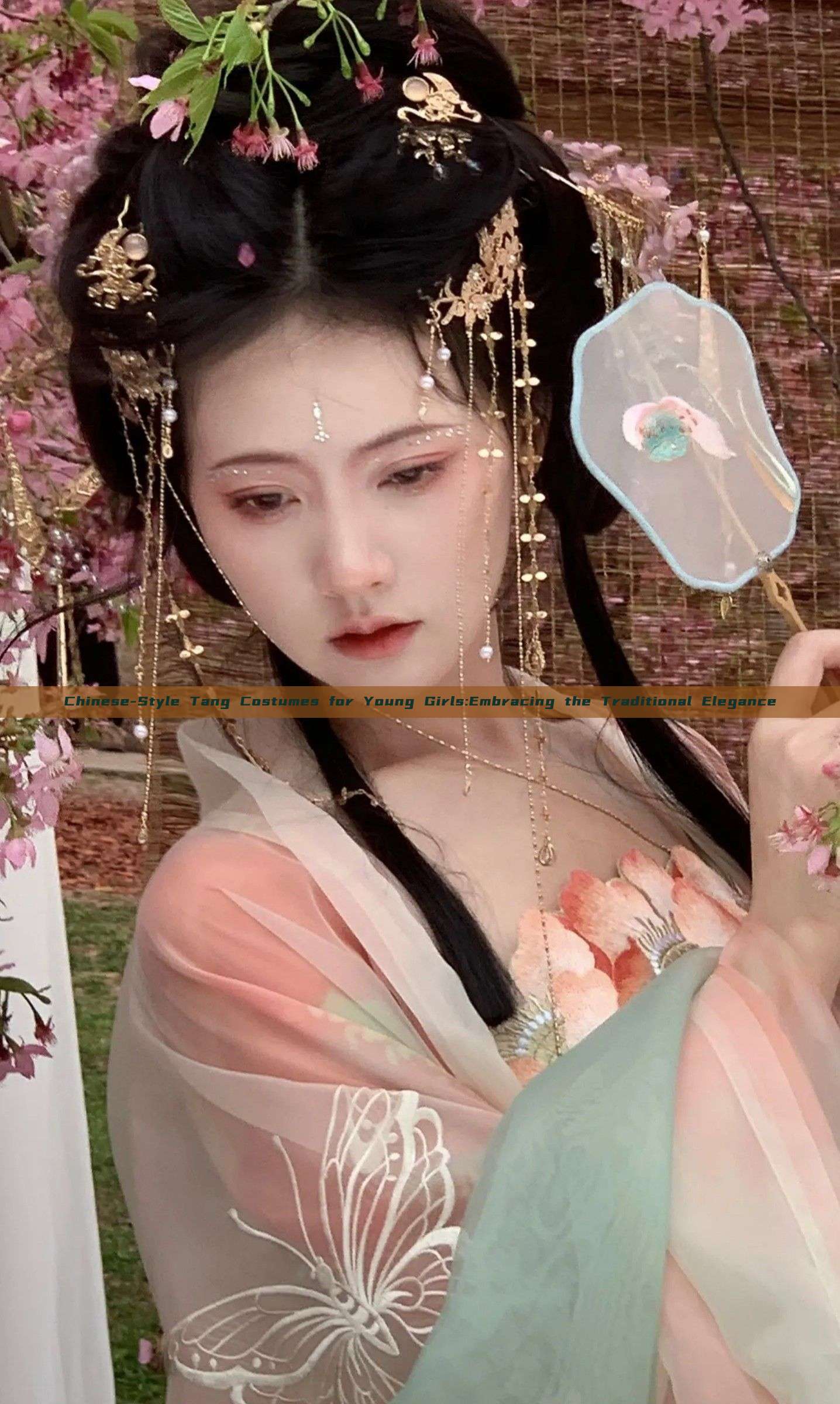 Chinese-Style Tang Costumes for Young Girls:Embracing the Traditional Elegance Chinese-Style Tang Costumes for Young Girls:Embracing the Traditional Elegance