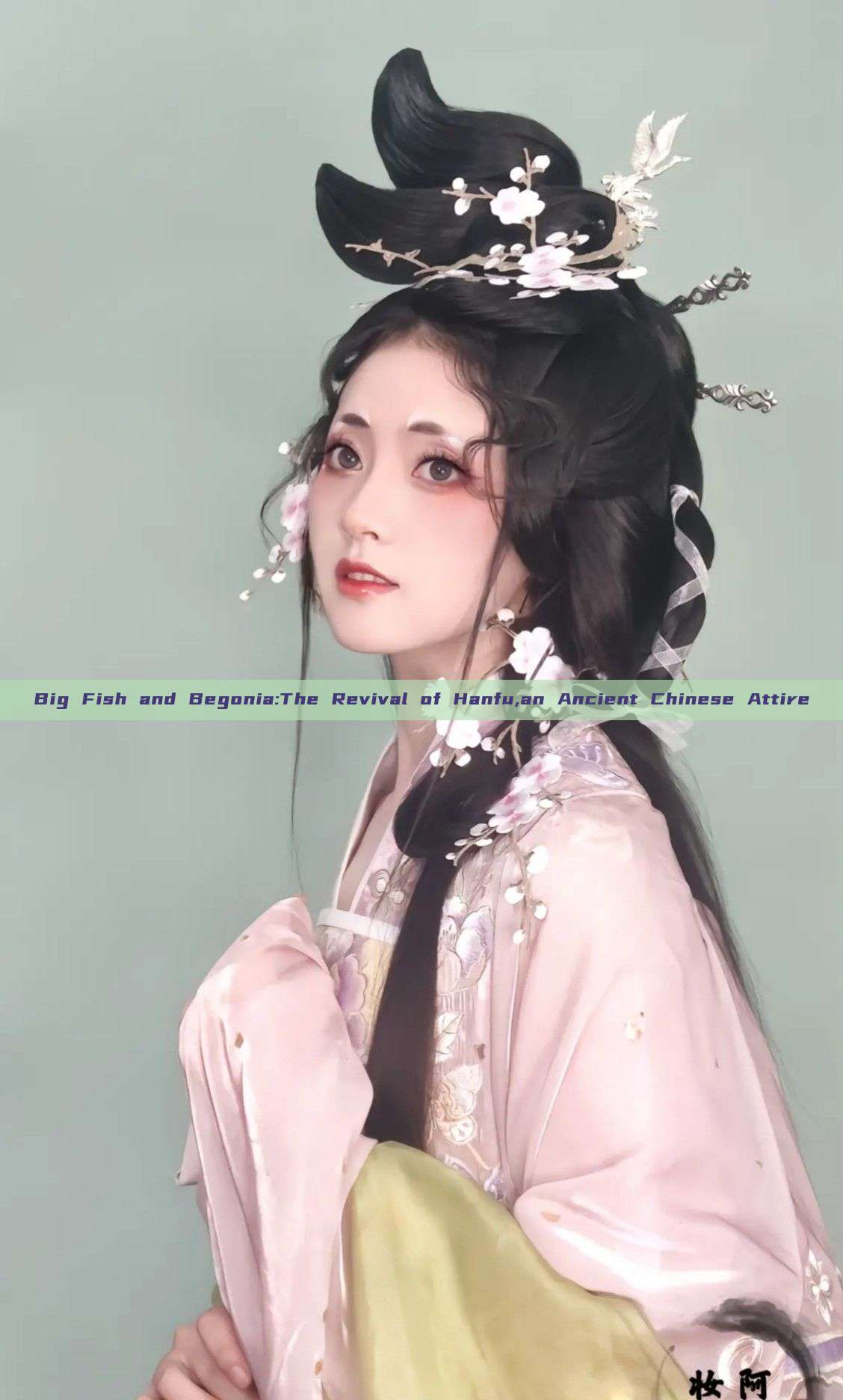 Big Fish and Begonia:The Revival of Hanfu,an Ancient Chinese Attire Big Fish and Begonia:The Revival of Hanfu,an Ancient Chinese Attire