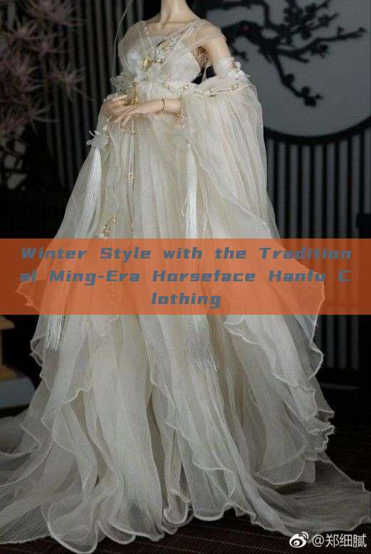 Winter Style with the Traditional Ming-Era Horseface Hanfu Clothing Winter Style with the Traditional Ming-Era Horseface Hanfu Clothing