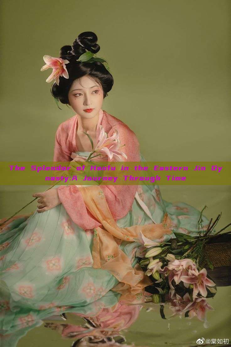 The Splendor of Hanfu in the Eastern Jin Dynasty:A Journey Through Time The Splendor of Hanfu in the Eastern Jin Dynasty:A Journey Through Time