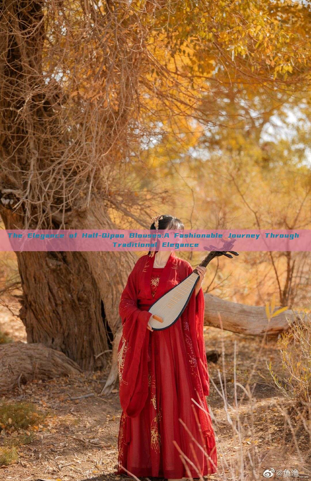 The Elegance of Half-Qipao Blouses:A Fashionable Journey Through Traditional Elegance The Elegance of Half-Qipao Blouses:A Fashionable Journey Through Traditional Elegance