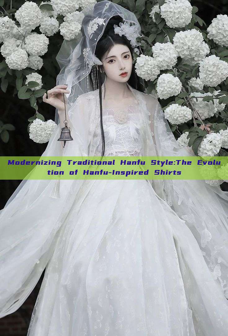 Modernizing Traditional Hanfu Style:The Evolution of Hanfu-Inspired Shirts Modernizing Traditional Hanfu Style:The Evolution of Hanfu-Inspired Shirts